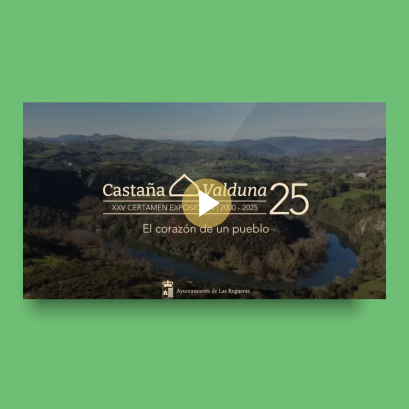 Castaña Valduna audiovisual 25 aniversario | Melodijopérez agencia de comunicación rural en Asturias