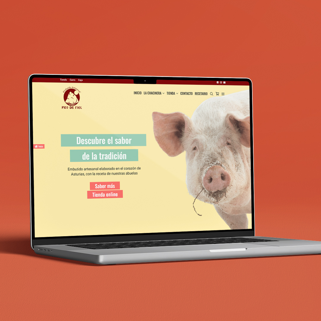 Pico de Fiel desarrollo web | Melodijopérez agencia de comunicación rural en Asturias