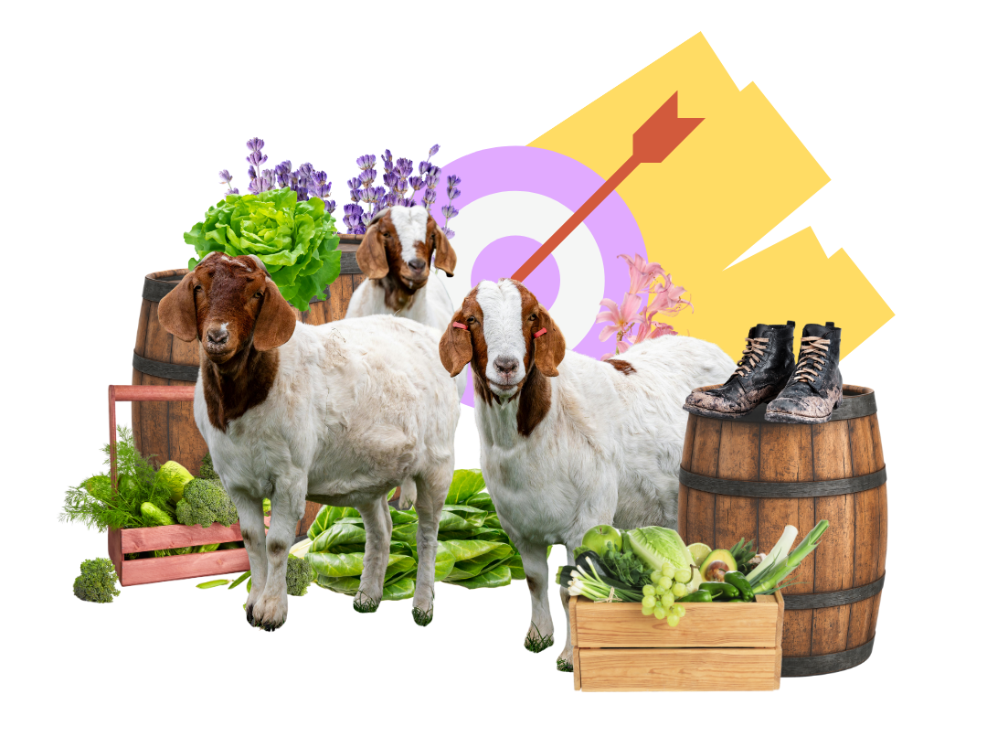 SEO | Melodijopérez agencia de comunicación rural en Asturias