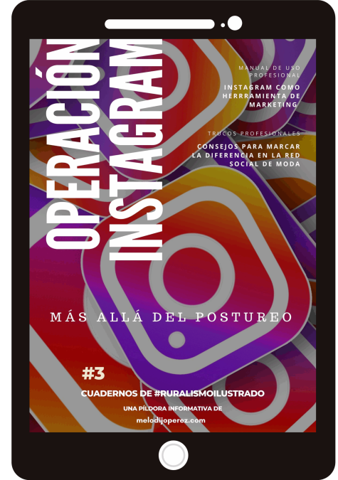 Manual profesional de Instagram